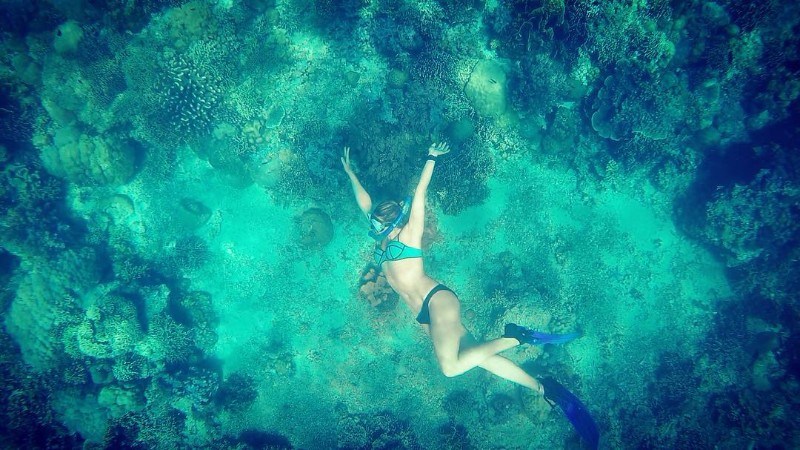 Pescador Island Moalboal Cebu