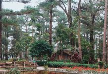 baguio itinerary