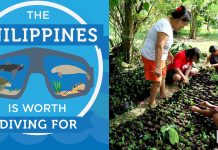 environmental organizations in the philippines